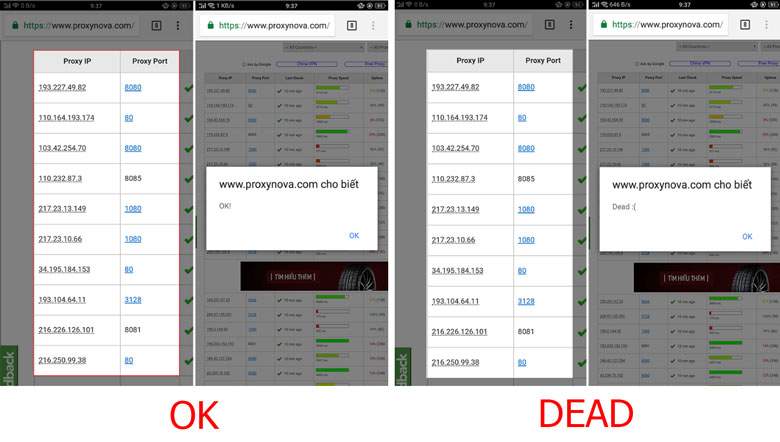 Một danh sách các địa chỉ IP sẽ hiện ra