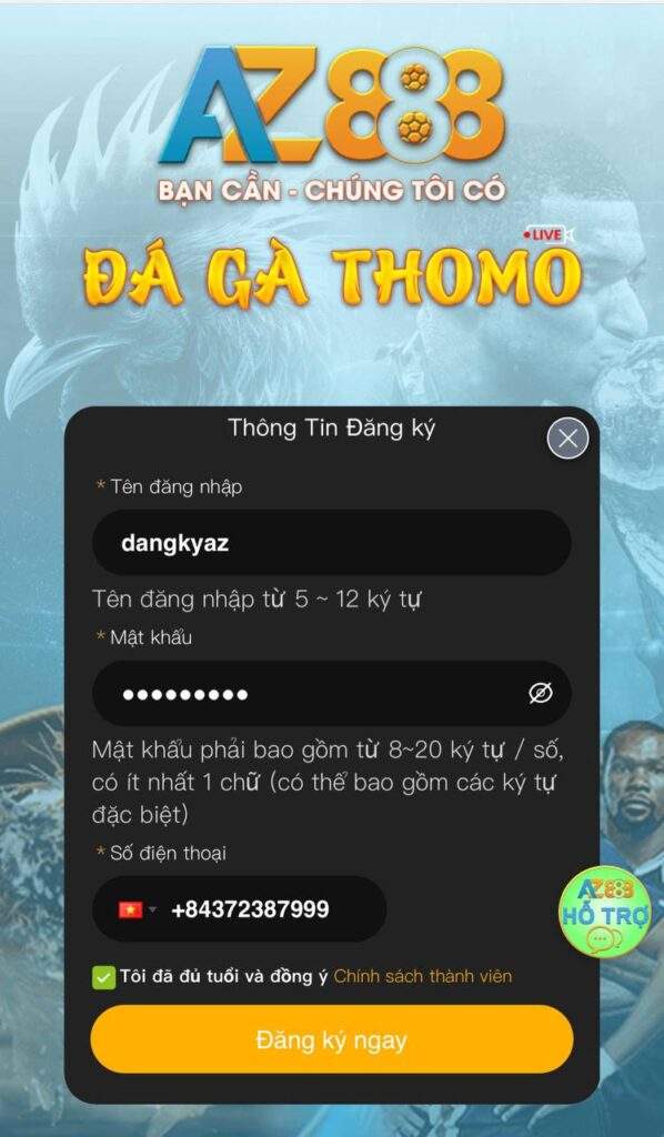 Điền thông tin theo biểu mẫu yêu cầu