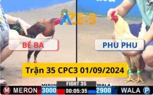 Trận 35 CPC3 01/09/2024 - Trận Đấu Cực Căng Giữa Phu Phu Và Bé Ba