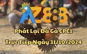 Phát Lại Đá Gà CPC1 Trực Tiếp Ngày 31/10/2024