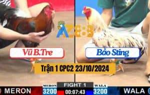 Trận 1 CPC2 Ngày 23/10/2024 - Anh Vũ Bến Tre Ra Quận Hạ Idol Dễ Dàng