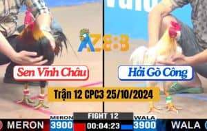 Trận 12 CPC3 Ngày 25/10/2024 - Anh Sen Vĩnh Châu Và Anh Hải Gò Công