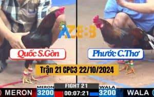 Trận 21 CPC3 Ngày 22/10/2024 Anh Quốc Và Anh Phước Cần Thơ Xổ Đá 500
