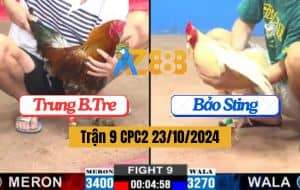 Trận 9 CPC2 Ngày 23/10/2024 Anh Trung Bến Tre Và Anh Bảo Sting
