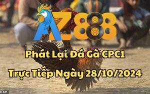 Phát Lại Đá Gà CPC1 Trực Tiếp Ngày 28/10/2024