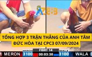 Tổng 3 Trận Thắng Của Anh Tâm Đức Hòa Tại CPC3 07/10/2024