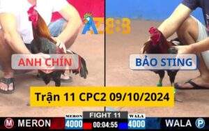 Trận 11 CPC2 09/10/2024 - Anh Chín Đối Đầu Với Bảo Sting