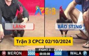 Trận 3 CPC2 02/10/2024 - Bảo Sting Gặp Đối Thủ Mạnh Trong Trận Xổ 50 Triệu