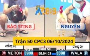 Trận 50 CPC3 06/10/2024 - Anh Nguyên Và Anh Bảo Sting