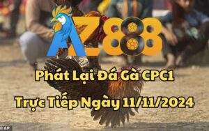 Phát Lại Đá Gà CPC1 Trực Tiếp Ngày 11/11/2024