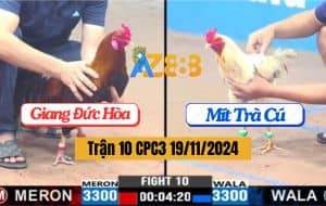 Trận 10 CPC3 19/11/2024 - Bướm Hiệu Anh Mít Trà Cú Đâm Cựa Qúa Tịch