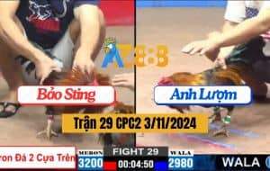 Trận 29 CPC2 Ngày 3/11/2024 Gà Anh Lượm Đứng Ngủ Cũng Hốt Bạc