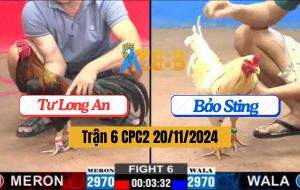 Trận 6 CPC2 20/11/2024 - Anh Bảo Sting Thất Thủ Với Mẻ Bướm Hiệu
