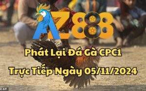 Phát Lại Đá Gà CPC1 Trực Tiếp Ngày 05/11/2024