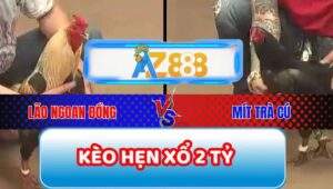 Full Clip 4 Trận Gà Mít Trà Cú Và Lão Ngoan Đồng Xổ 2 Tỷ