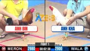 Trận 1 CPC3 5/12/2024 Anh Phong Bánh Mì Bị Hạ Khi Thả Gà Giùm Anh Kha