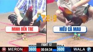 Trận 12 CPC3 13/12/2024 - Đẳng Cấp ĐKVĐ Minh Bến Tre Lụm Gạo Dễ Dàng