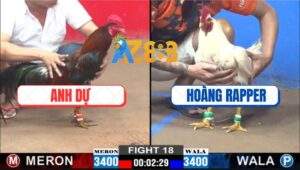 Trận 18 CPC2 4/12/2024 Gà Anh Dự Đá 1 Tay Nước Hạ Gà Anh Hoàng Rapper