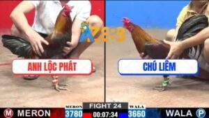 Trận 24 CPC2 22/12/2024 - 1 Cước Phân Định Thắng Thua