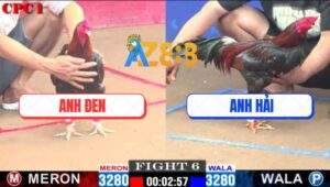 Trận 6 CPC1 24/12/2024 - 1 Cước Phân Định Thắng Thua