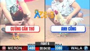 Trận 8 CPC3 31/12/2024 - Gà Bướm Anh Công Về Trong May Mắn