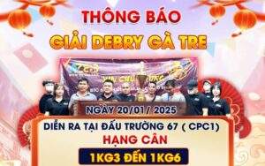 [Thông Báo] Giải DERBY Gà Tre Mừng Xuân Ất Tỵ 2025 Tại CPC1 20/1/2025