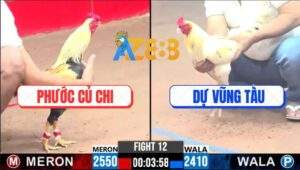 Trận 12 CPC3 14/1/2025 - Hàng Tuyển Của Anh Dự Vũng Tàu Quá Đẳng Cấp