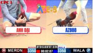 Trận 19 CPC1 16/1/2025 - Xóm Gà AZ Bất Bại 3 Trận Liên Tiếp Với Bổn Hiệu