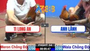 Trận 34 CPC2 15/1/2025 - Gà Anh Ti Long An Đá Không Rớt Chân