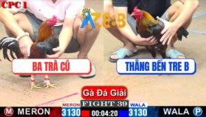 Trận 39 CPC1 16/1/2025 - Gà Anh Ba Trà Cú Ăn Hành, Lật Kèo Kinh Điển
