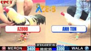 Trận 6 CPC1 18/1/2025 - Gà Chuối Xóm Gà AZ Đâm Vô Ngực Gà Anh Ton Lút Cán