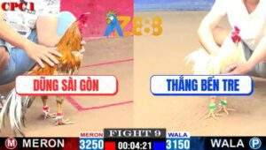 Trận 9 CPC1 18/1/2025 - Cú Bắt Bướm Không Thành Bị Đá Lật Họng