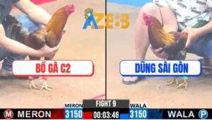 Trận 9 CPC3 12/1/2025 - Bồ Gà C2 Và Anh Dũng Sài Gòn, Giao Lưu 500