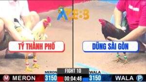 Trận 10 CPC3 25/2/2025 - Gà Bướm Quá Nhanh 1 Chân Điều Hết Thấy Đường