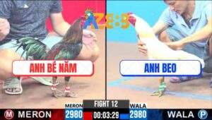 Trận 12 CPC3 24/2/2025 - Gà Úa Chân Xanh Của Anh Beo Quá Mai Đồ