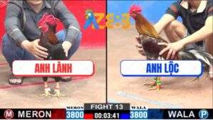 Trận 13 CPC2 9/2/2025 - Gãy Tay Phản Kèo Ăn 3 Quá Đẳng Cấp