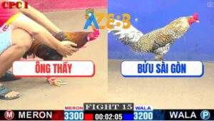 Trận 15 CPC1 25/2/2025 - Gà Điều Anh Bửu Đá Gà Cú Ông Thầy La Làng