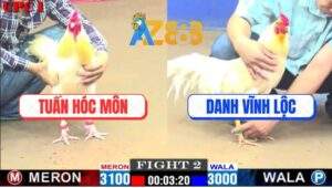 Trận 2 CPC1 27/2/2025 - Gà Anh Danh Có Chân Xạo Lờ, Đưa Biện Ra Đảo