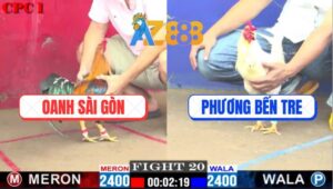 Trận 20 CPC1 27/2/2025 - Gà Điều Anh Oanh Sài Gòn Quá Mai Độ