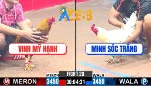 Trận 20 CPC3 25/2/2025 Xám Son Anh Vinh Lụm Gọn Thương Hiệu Sóc Trăng