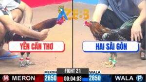 Trận 21 CPC3 20/2/2025 - Xám Bông Đá Chân Một Điều Nhảy Lăm Ba Đa