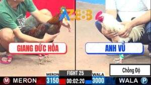 Trận 25 CPC3 9/2/2025 Vàng Phèn Đá Bướm Nhấc Người, Lụm Xổ 300 Quá Đẹp