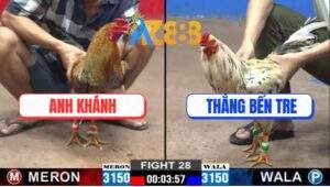 Trận 28 CPC2 21/2/2025 - Anh Khánh Sửa Gà Chuyển Bại Thành Thắng