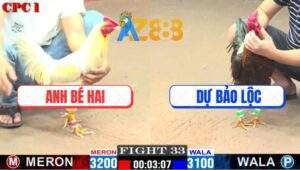 Trận 33 CPC1 15/2/2025 Anh Dự Bảo Lộc Sửa Gà Lật Kèo Ăn 1 Quá Đẳng Cấp