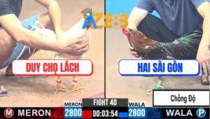 Trận 40 CPC3 20/2/2025 - Xám Bông Chồng Độ Có Chân Mai Độ Quá Hay