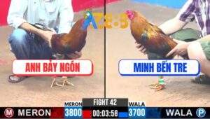 Trận 42 CPC3 20/2/2025 - Má Minh Chưa Kịp Nhấc Chân Đã Xách Đuôi Ra Về