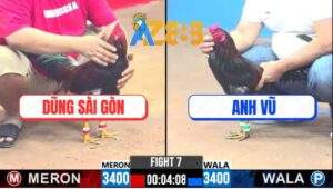 Trận 7 CPC3 20/2/2025 - Xanh Mồng Trích Đá 3 Chân Đối Thủ Ho Ra Sting