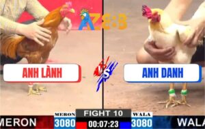 Trận 10 CPC2 7/3/2025 - Khét Vàng Anh Lành Hạ Gọn Gà Bướm Anh Danh