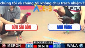 Trận 11 CPC1 4/3/2025 - Gà Anh Vàng Phản Kèo Ăn 1, Hàng Sáu Kêu Trời