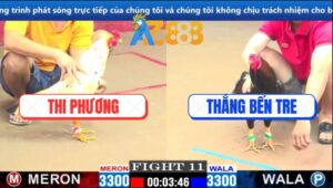Trận 11 CPC1 6/3/2025 - Điều Anh Thắng Đá Bướm Thị Phượng Lật Xe